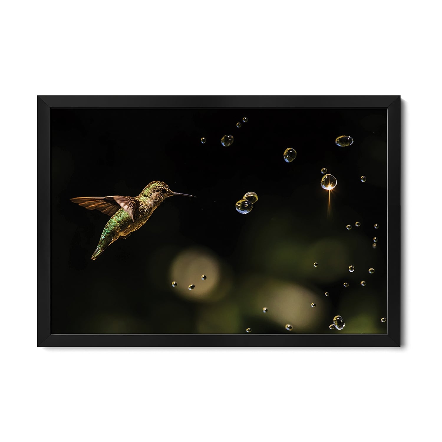 Play With Water Drops Premium Framed Poster by Jenny Qiu