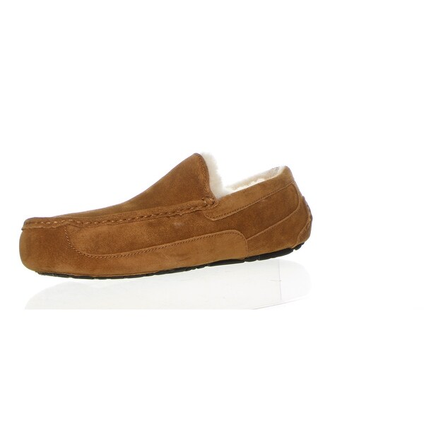 ugg ascot chestnut mens