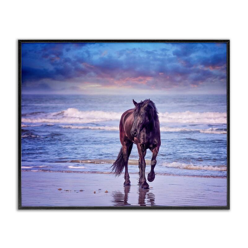 Stupell Wild Horse on Beach Colorful Blue Sunset Framed Giclee Texturized Art by PHBurchett