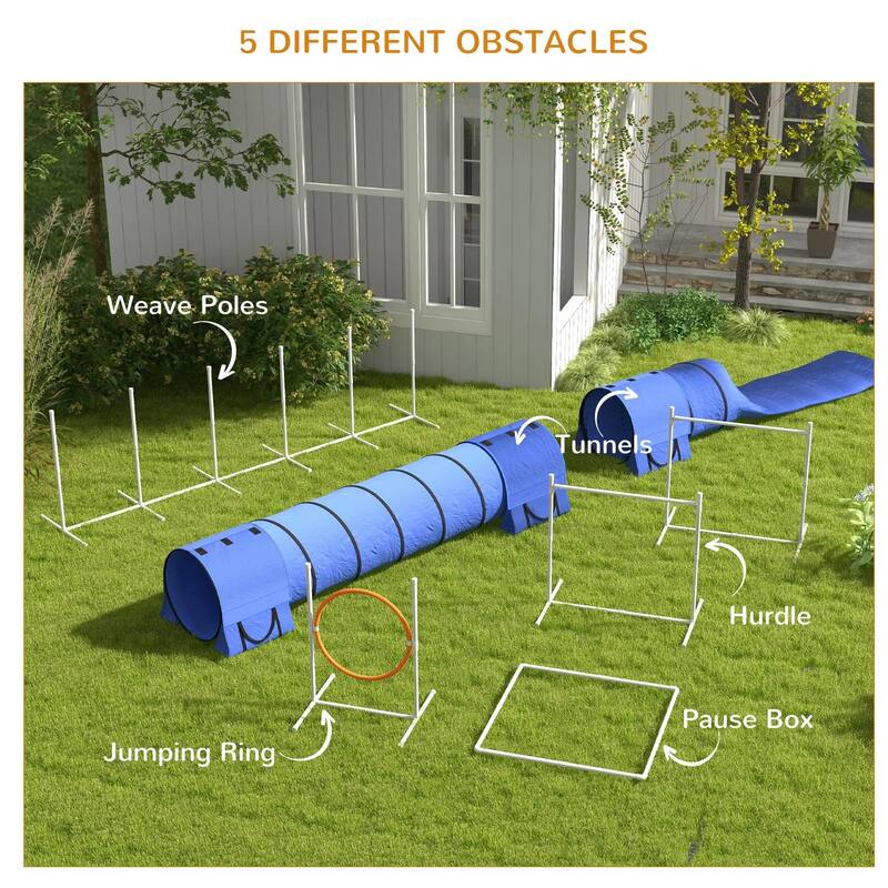 7PC Agility Training Equipment for Dogs with Tunnels, Jumping Ring
