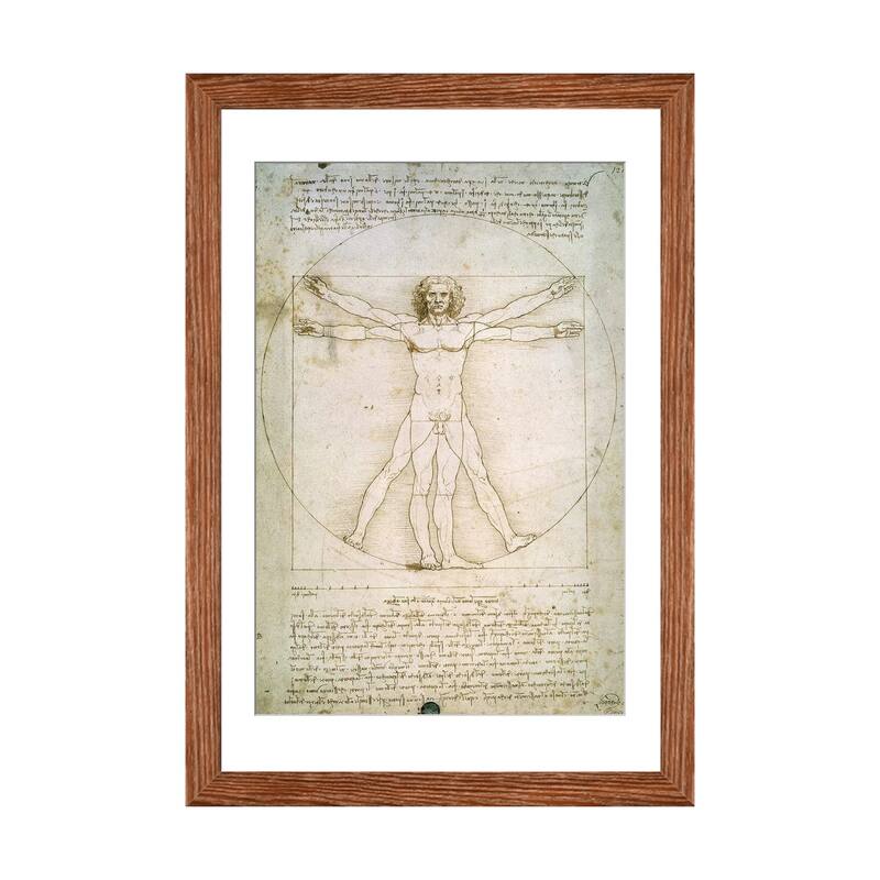 iCanvas "The Proportions of the human figure " by Leonardo da Vinci - Walnut - 24x16x1