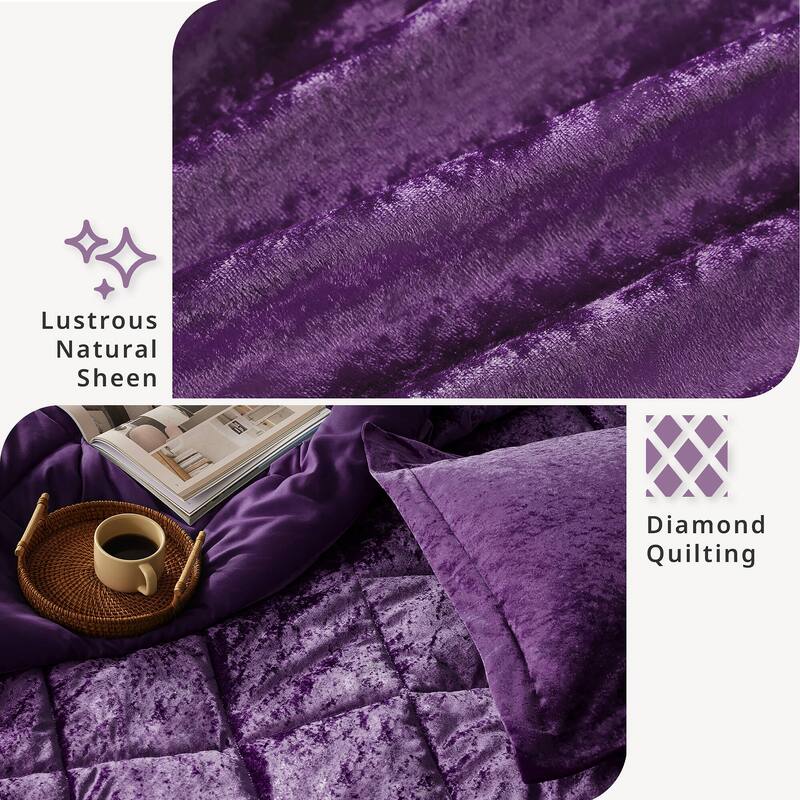 Intelligent Design Isabel Velvet Comforter Set