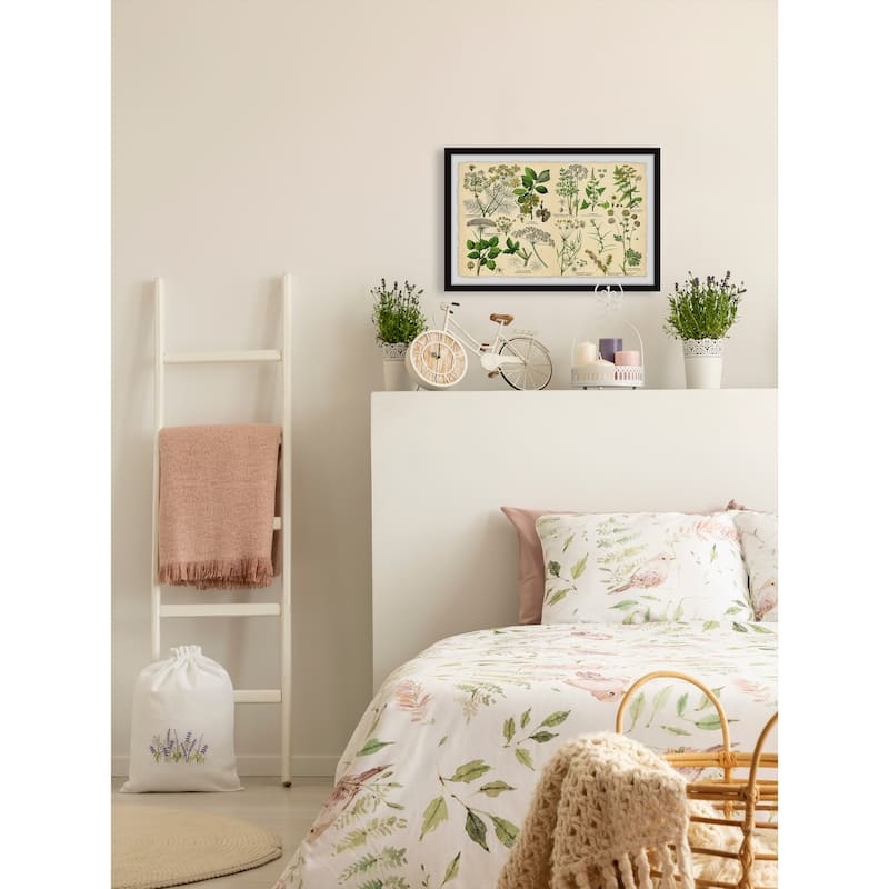 Selinum Carvifolia Framed Print
