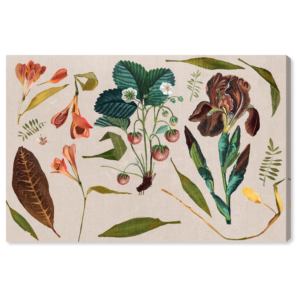 Floral Diagram Montage Canvas by Art Remedy, Gallery Wrapped