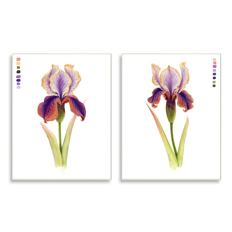 Stupell Orange Purple Iris Flower with Color Key 2pc Multi Piece Wood ...