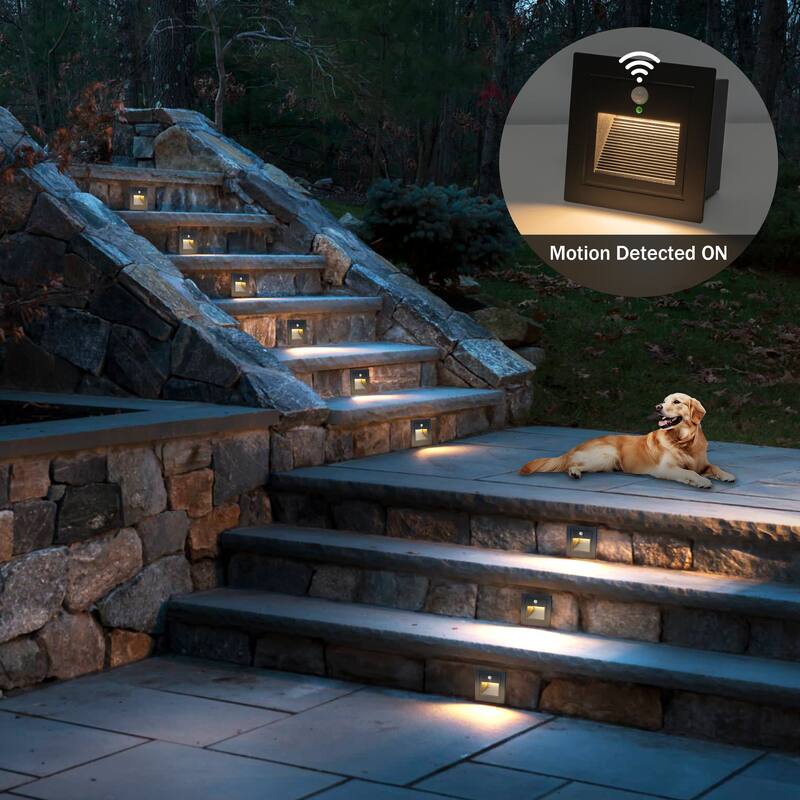 C Cattleya Black Aluminum Hardwired Motion Sensing Outdoor Step Light