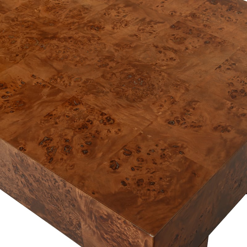 SAFAVIEH Couture Betharose Burl Wood Coffee Table - 55"W x 28"D x 18"H