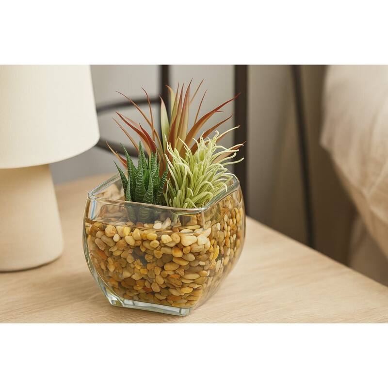 HomeStock Aloe and Easter Grass in Glass Cube - Compact Faux Greenery for Seasonal or Year-Round Use - 6