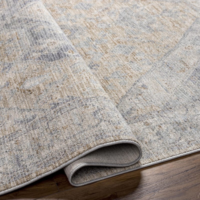 Traci Traditional Scroll Area Rug