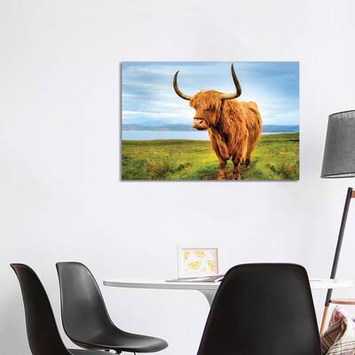 iCanvas "Highland Cow IV" by Susanne Kremer Canvas Print