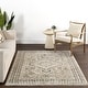 preview thumbnail 22 of 22, Nuloom Vanesa Transitional Medallion Fringe Area Rug