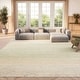 preview thumbnail 1 of 171, SAFAVIEH Adirondack Wilmy Ombre Distressed Rug