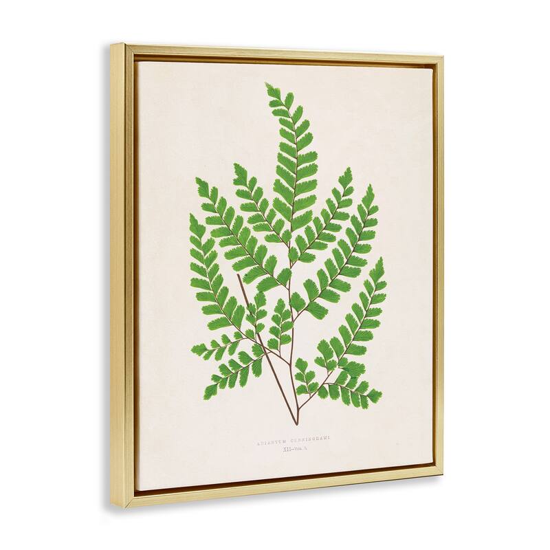 Stupell Woodland Sprigs Study Framed Floater Canvas Wall Art Design By Phillipa Katz