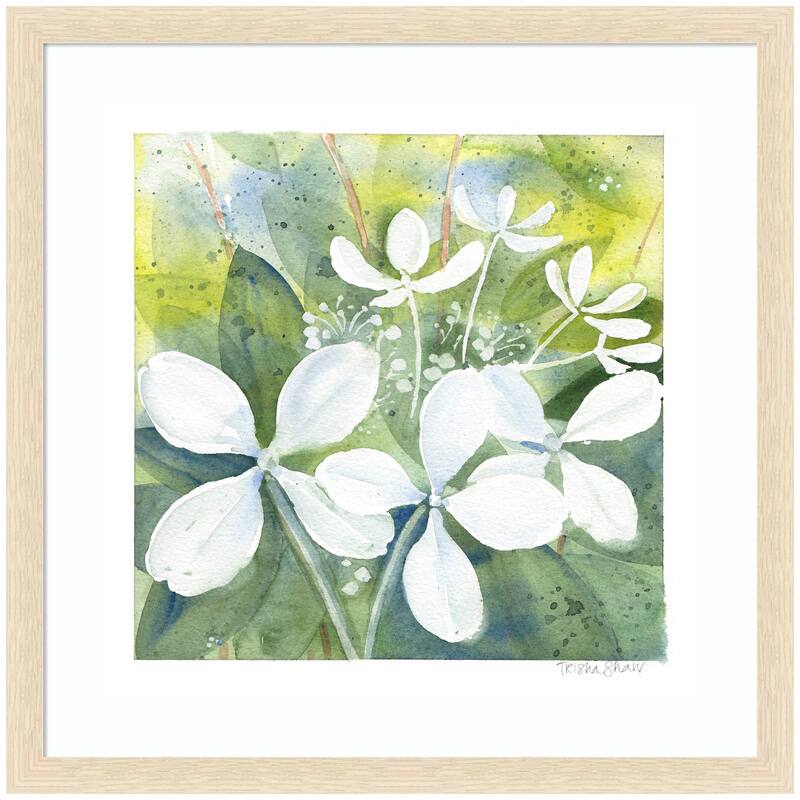 Kate and Laurel Framed Art White Phantom Hydrangea in Greens by Patricia Shaw - 26x26 - Natural