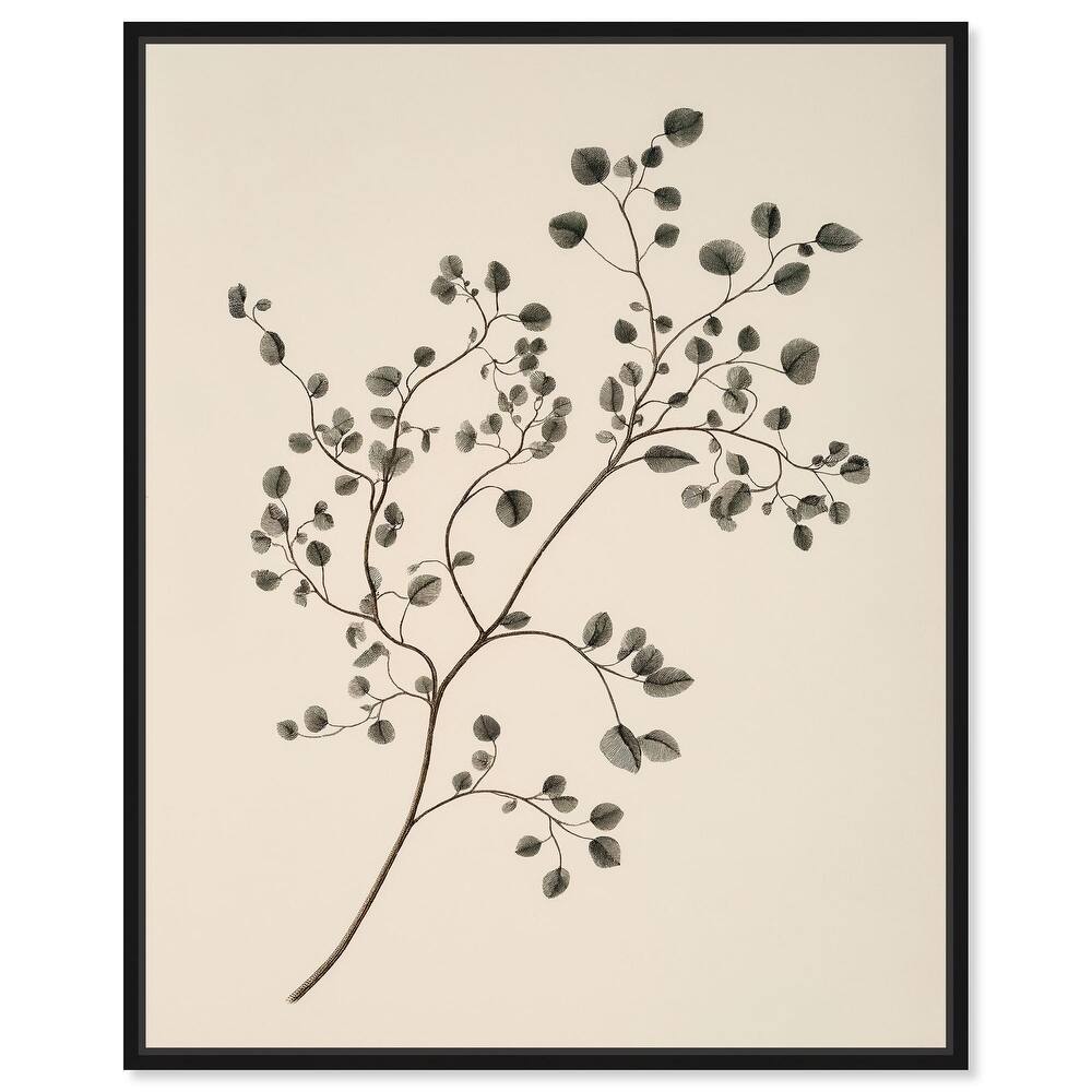 Bilberry Branch Canvas by Art Remedy