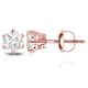 Option Rose