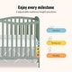 preview thumbnail 13 of 11, Dream On Me Chelsea 5-in-1 Convertible Crib