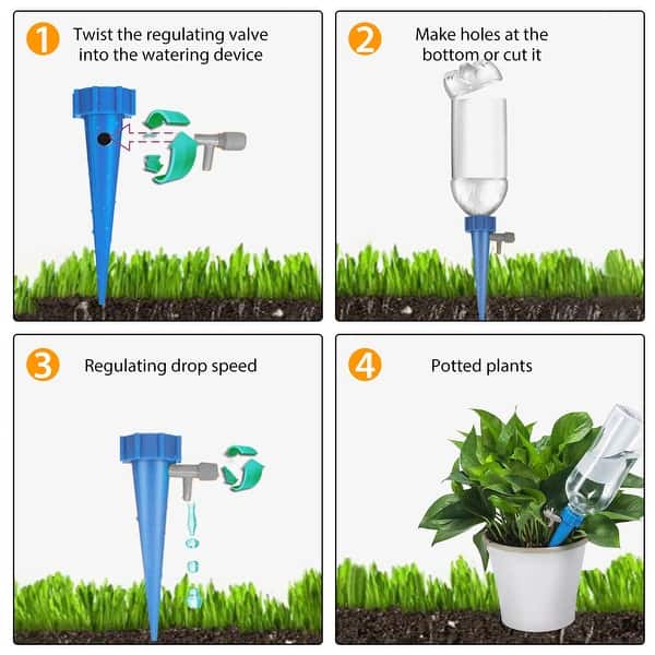 dracaena hawaiian sunshine Hawaiian Sunshine Staggered Cane - 12
