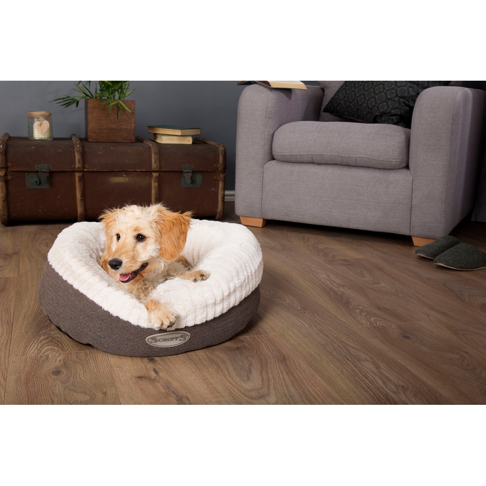 Scruffs dog bed xl sales