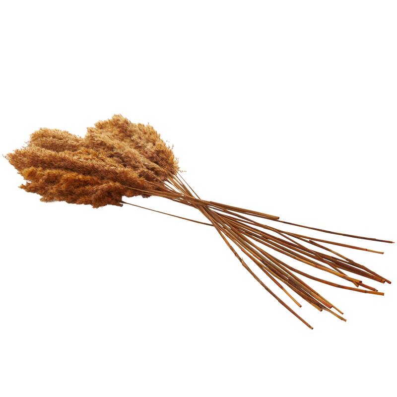 Dried Plant Pampas Grass Home Decor Natural Foliage with Long Stems - Orange - Roche River Decor