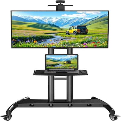 Mobile TV Cart