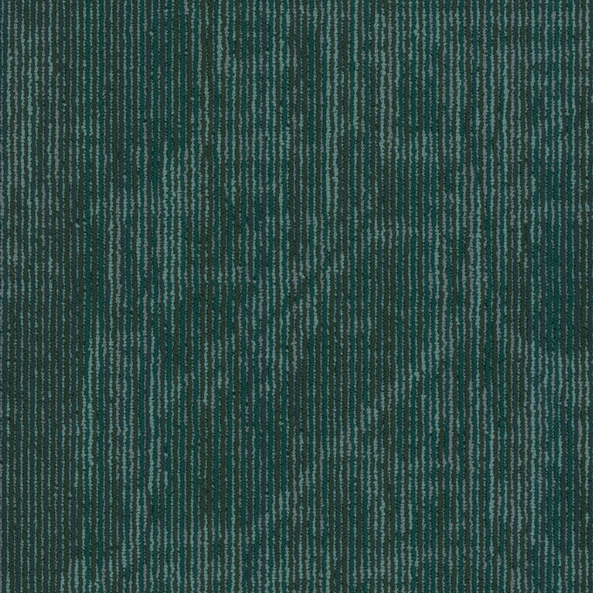 Shaw Philadelphia Commercial Encrypt 18" x 36" Glue Down Carpet Tile -