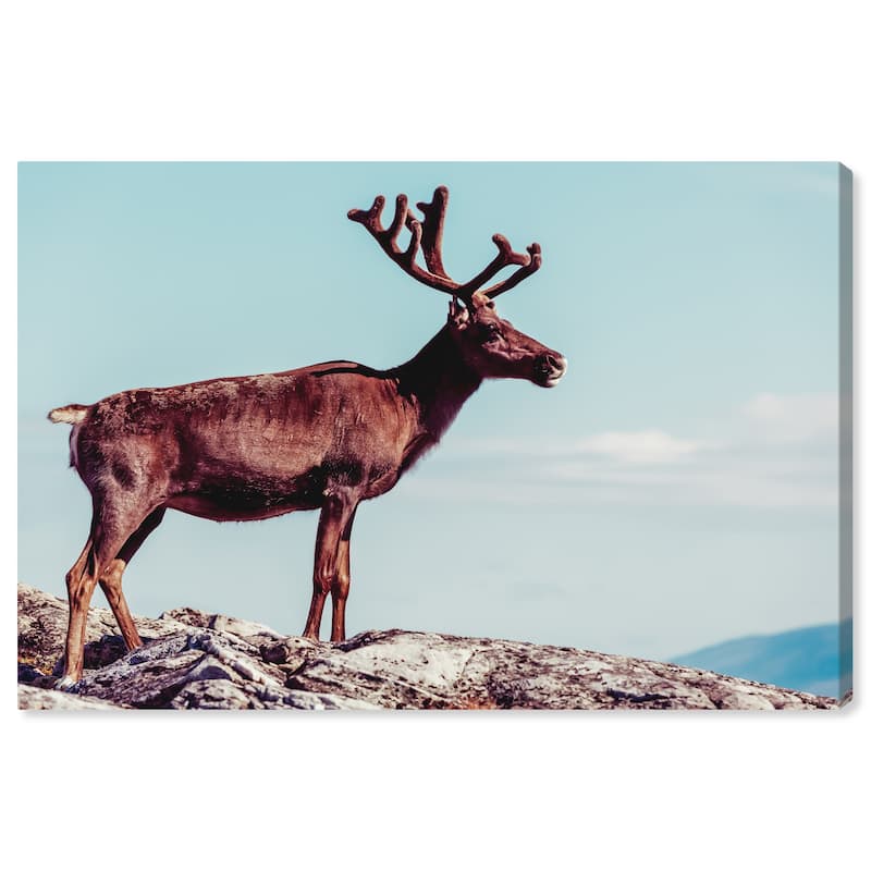 Wynwood Studio Canvas Animals In Its Own Habitat Blue and Light Blue Rustic Wall Art Canvas Print