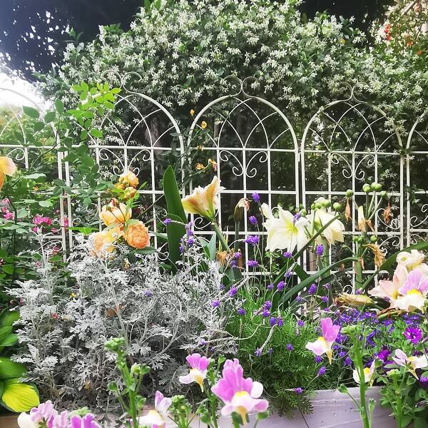 garden bed planter Galvanized Raised Garden Bed Kit 442ft