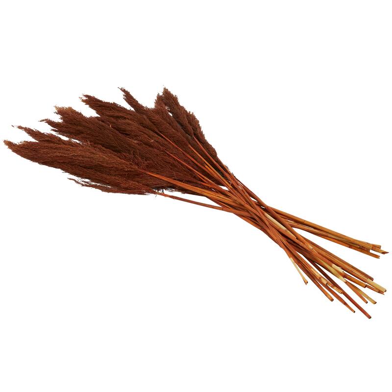 Copper Dried Plant Pampas Home Decor Natural Foliage with Long Stems