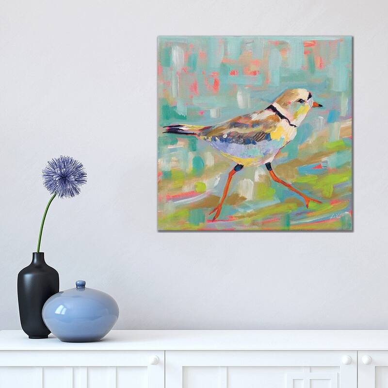 iCanvas "Coastal Plover I" by Jeanette Vertentes Canvas Print - 18x18x1.5