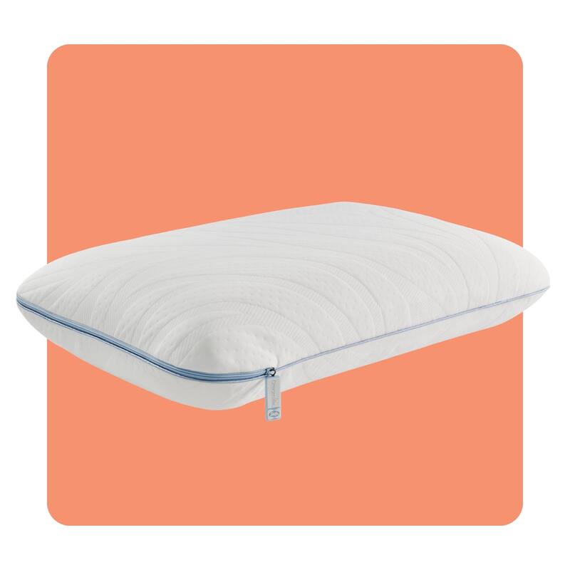 Sealy Dreamlife Performance Foam Pillow, Standard