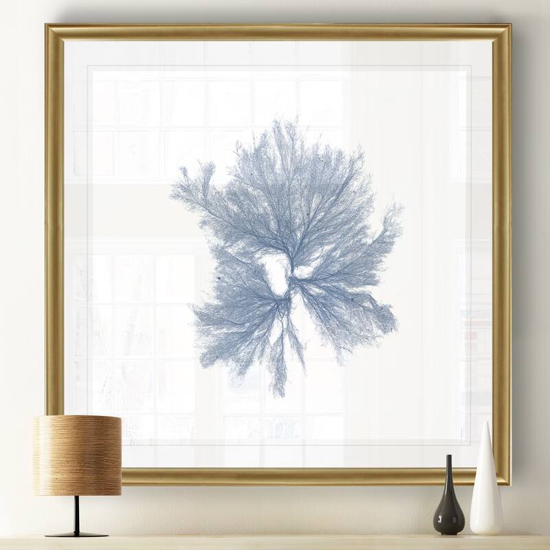 Navy Seaweed III -Black Framed Print