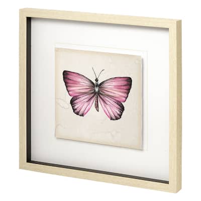 Butterfly Study IV Framed Art Print