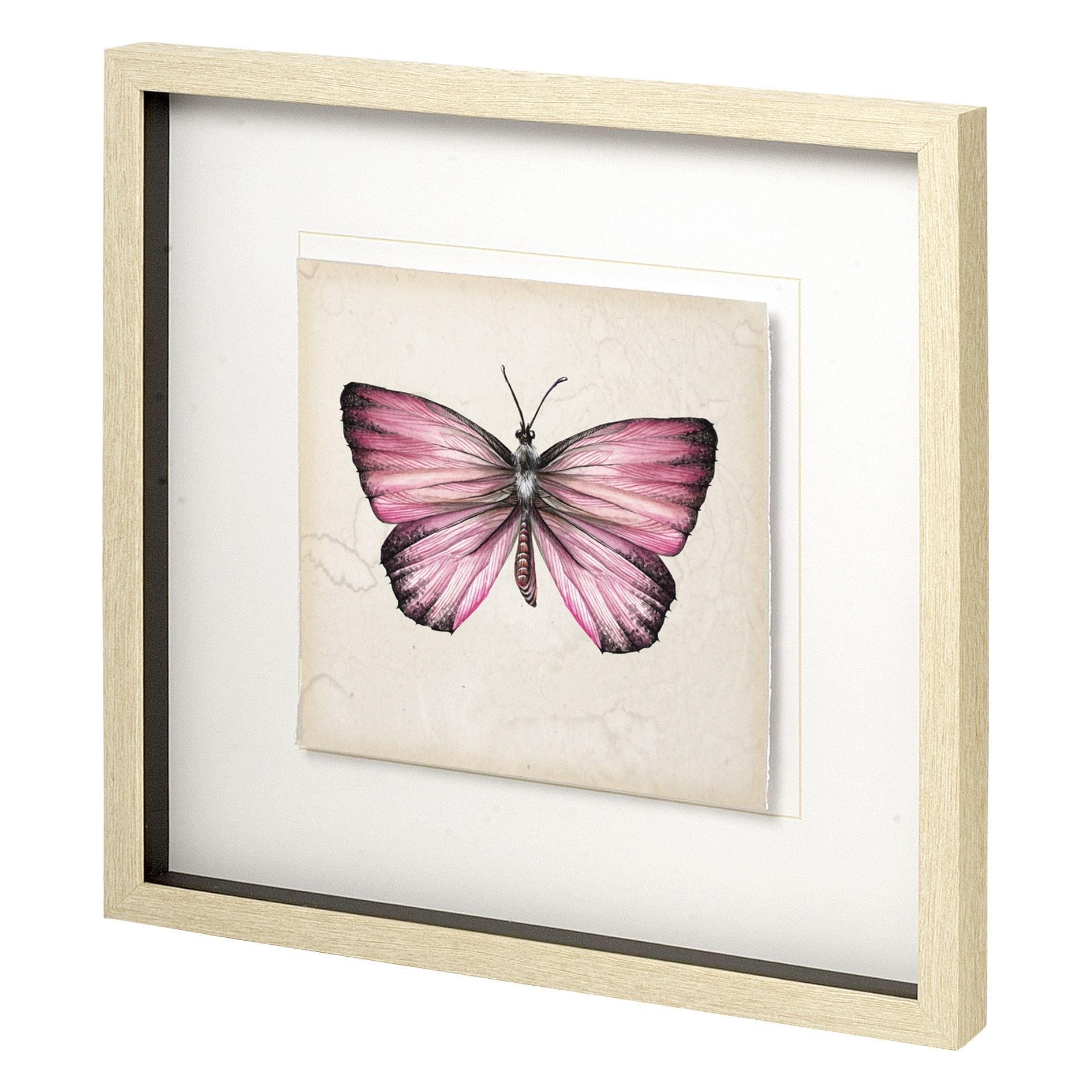 Butterfly Study IV by Melissa Wang a Hand Embellished Textured Framed Art Print Matted under Glass
