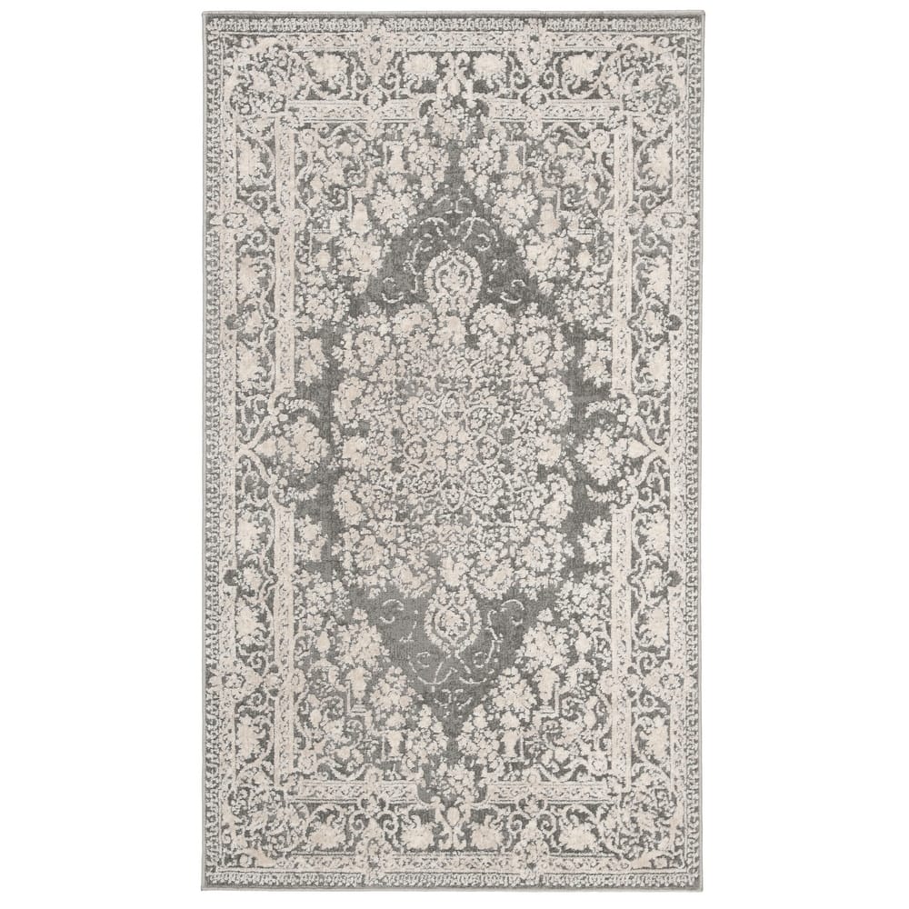 SAFAVIEH Reflection Euna Charming Oriental Rug