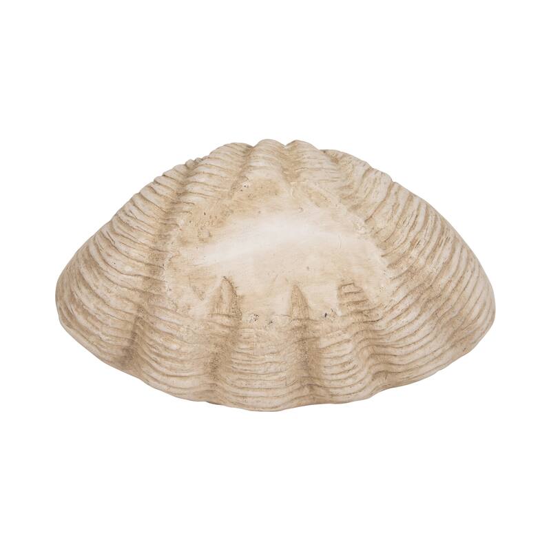 Sagebrook Home Polyresin Coastal Decorative Clam Shell Bowl with Sculptural Wavy Rim