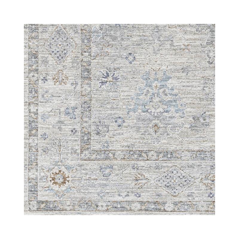 Hunza Updated Traditional Medallion Area Rug