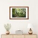 preview thumbnail 20 of 18, iCanvas "Birch Trees & Tall Grass" by Danny Head