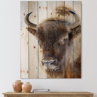 Designart 'Close Up View of Bull' Farmhouse Print on Natural Pine 