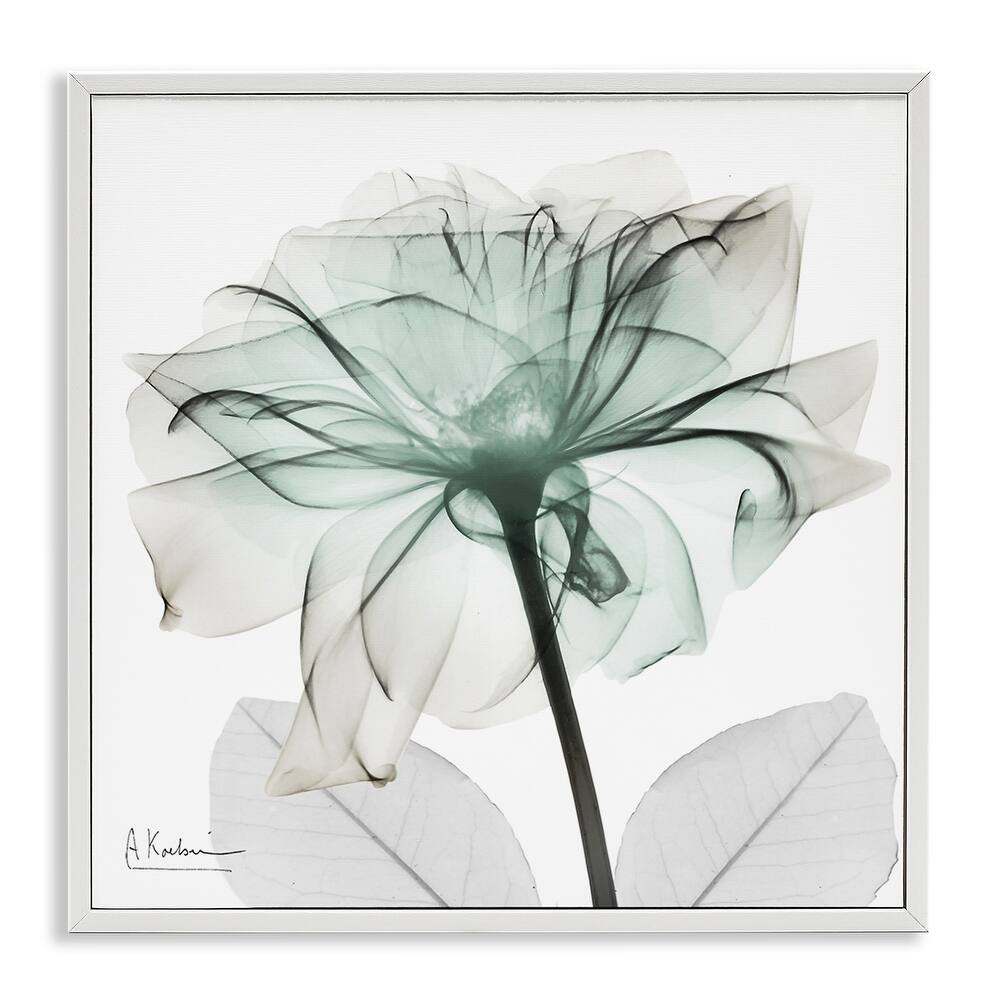 Stupell Unique Chic Flower Petal Framed Giclee Art Design By Albert Koetsier