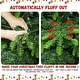 preview thumbnail 36 of 34, 4/5/6/7/8 FT PE/PVC Mixed Automatic Steel Wire Christmas Tree