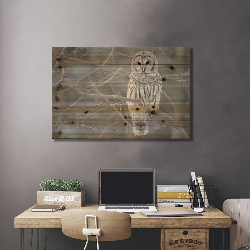 Barred Owl on Branches Print On Wood by Unknown Artist - Multi-Color