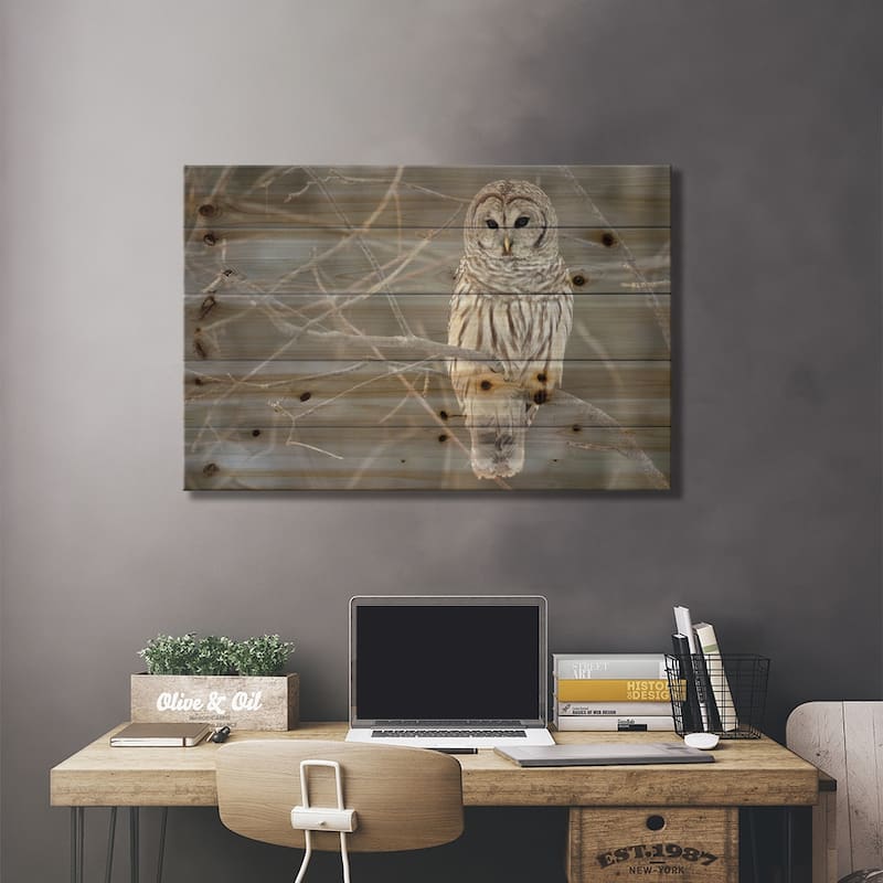 Barred Owl on Branches Print On Wood by Unknown Artist - Multi-Color ...