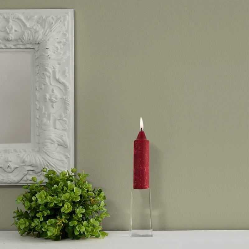 Root Unscented 5 In. Timberline™ Collenette Taper Candles box of 8 - 5 X 1-1/4