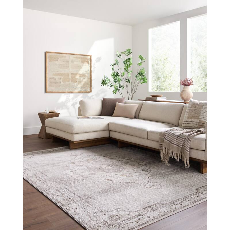 Livabliss Fifth Avenue Traditional Area Rug - Light Gray - 8'10" x 12'2"