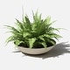 preview thumbnail 103 of 110, Mason Series Lane Bowl Planter