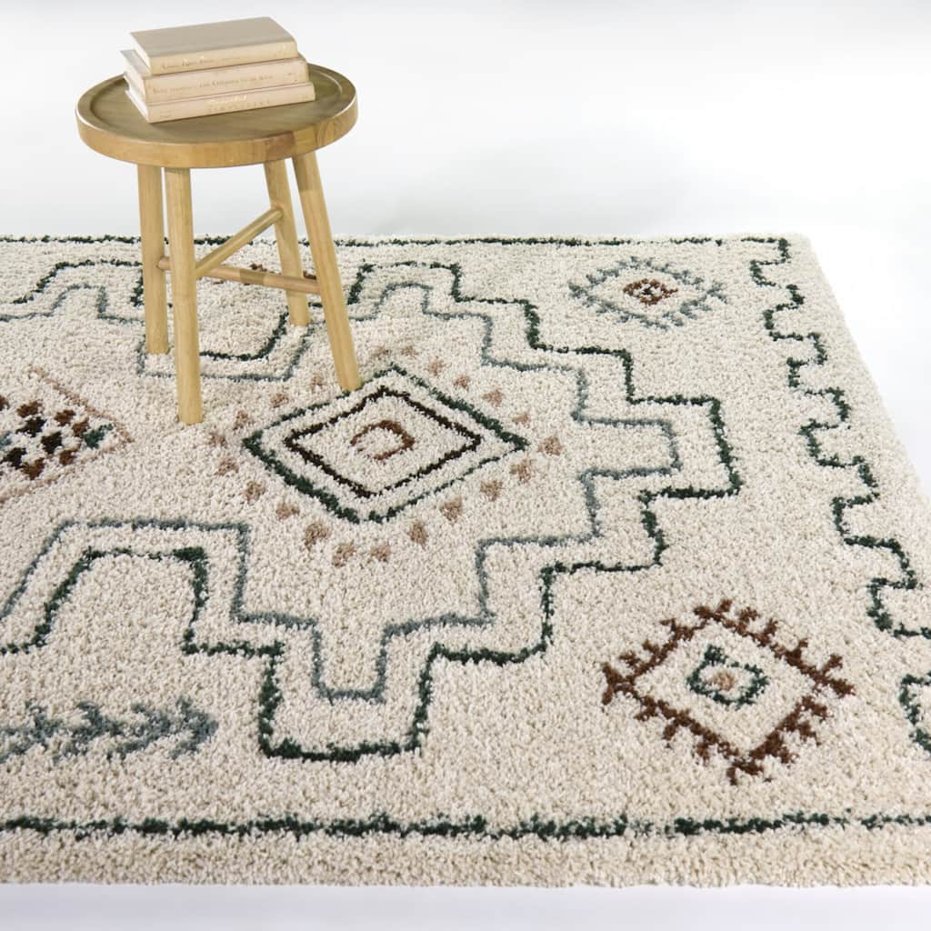 Eugenia Global Shag Area Rug