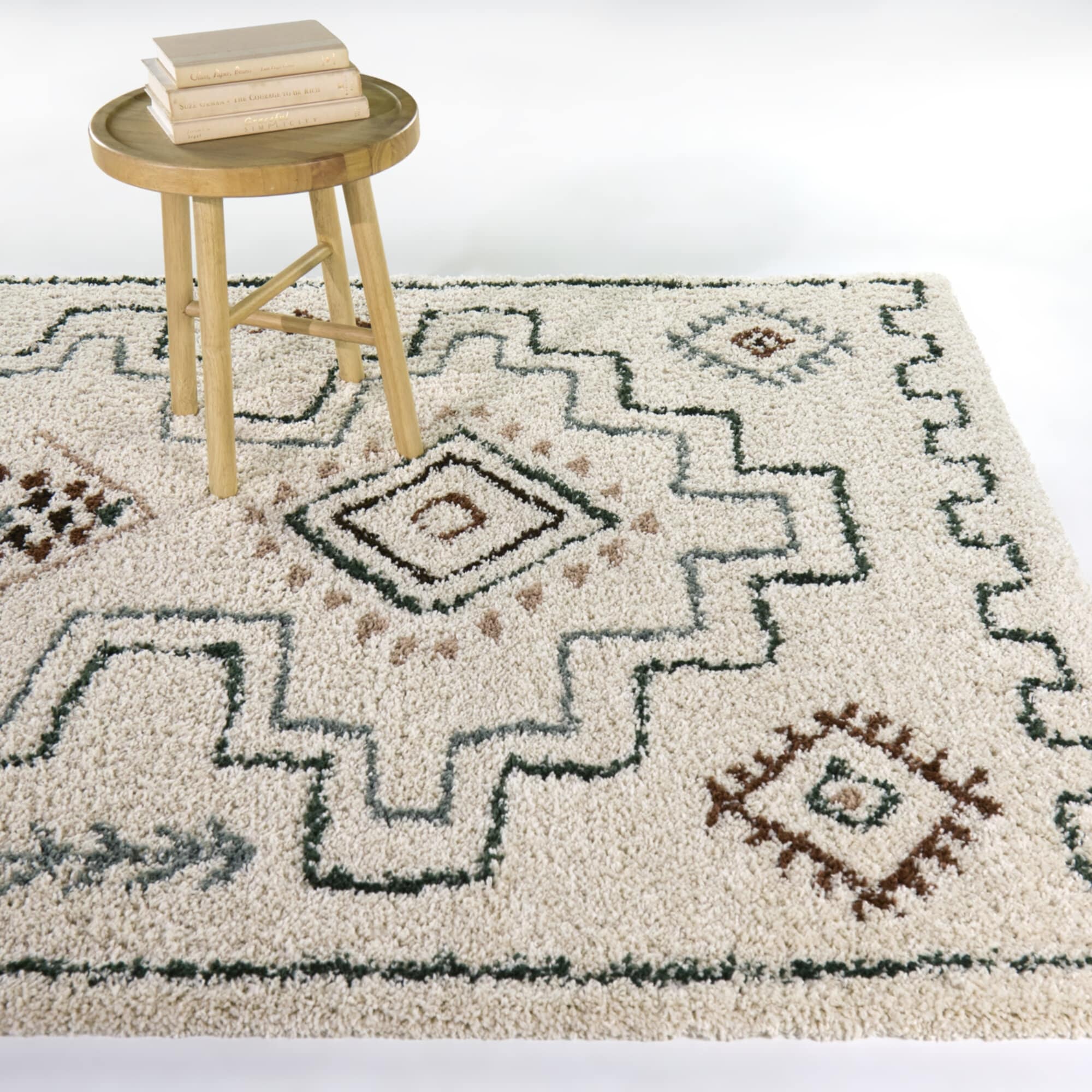 Eugenia Global Shag Area Rug