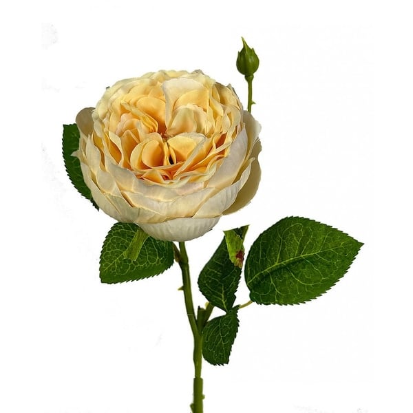 Englsih Roses Fake Buttercream English Garden Rose Artificial Flower - Bed Bath & Beyond ...