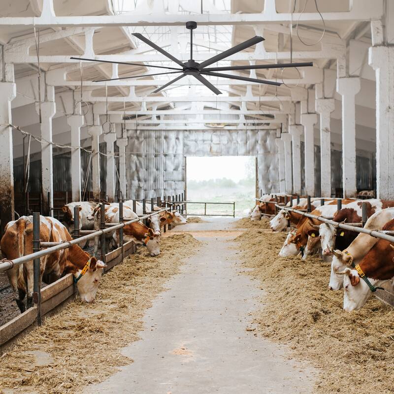 120" Indsutrial Extra Larger HVLS Commercial Ceiling Fan with Remote and Aluminum Blades